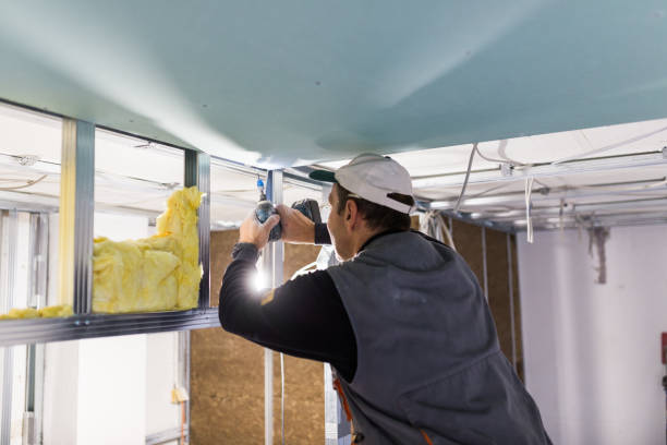 Best Insulation Maintenance and Repair in East Franklin, NJ